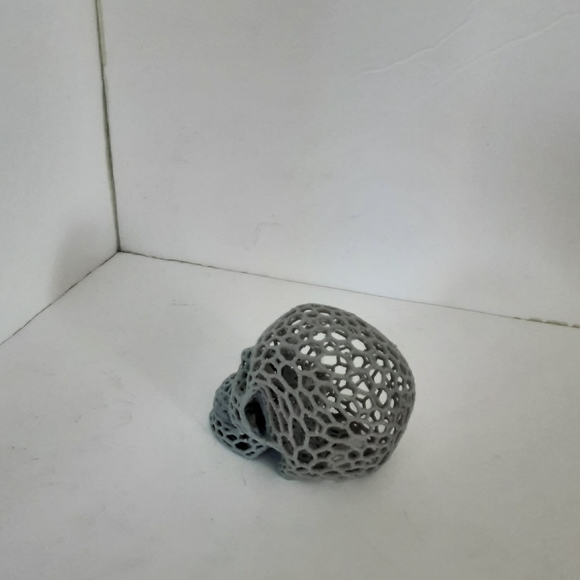 Little Grey Skull - Picture 2 of 6